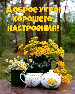 ДОБРОЕ УТРО! 🌞 ПОЗИТИВА 🍊🍎🍋 и главное ЗДОРОВЬЯ ! 🌸❤😉💐😋❤🌸 Улыбнись,  и весь мир улыбнется тебе в … | Жизнеутверждающие цитаты, Юмор о  настроении, Доброе утро