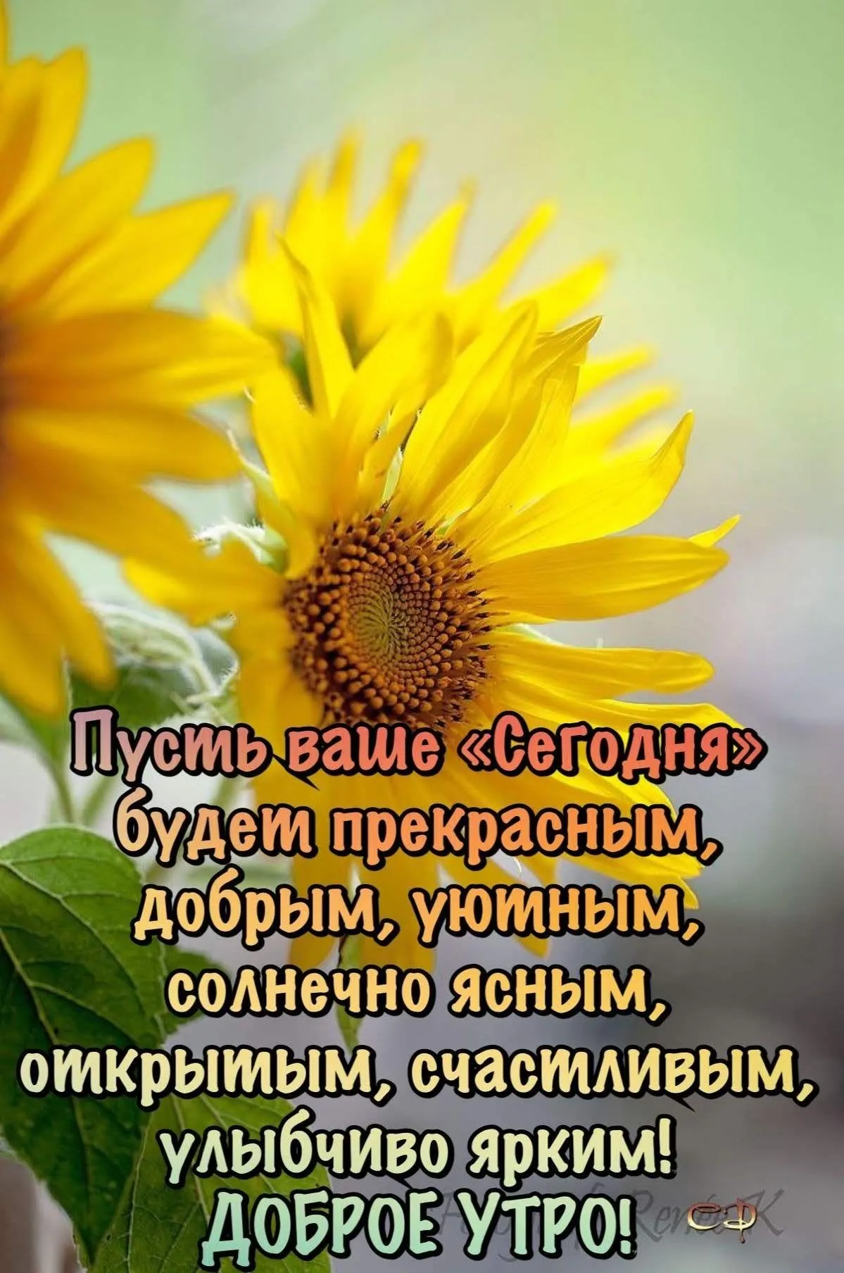 Мир позитива - Мир позитива added a new photo.