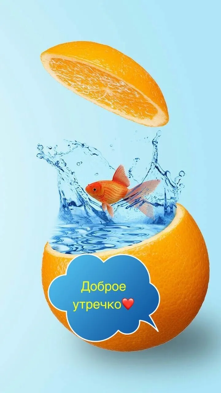 Мир позитива — живи счастливо!