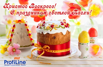 Мир вашему дому! 🙏🕊️🌹 | Мир