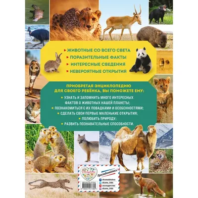 Мир животных | Деринг Ханс-Гюнтер - купить с доставкой по выгодным ценам в  интернет-магазине OZON (311516730)