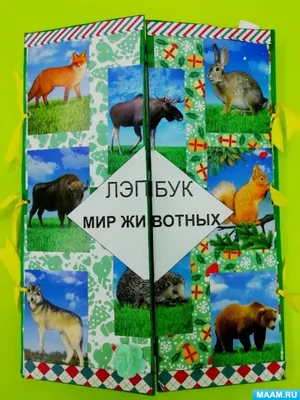 Настольная игра Десятое королевство Мемо Мир Животных арт. 03590 - «Изучаем мир  животных в формате МЕМО! Яркие карточки, зверюшки в среде обитания. Сыну  очень нравится!» | отзывы