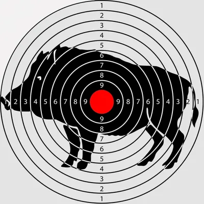 Мишень для стрельбы 17Х17см КАБАН (бумага 200шт.) - купить с доставкой по  выгодным ценам в интернет-магазине OZON (595645873)