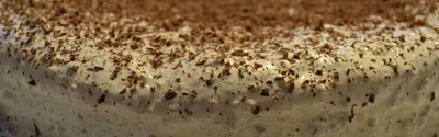Торт Амурский хлеб Мишка на севере - «Любимый торт!» | отзывы