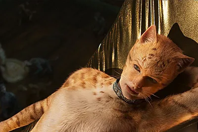Как создавались «костюмы» для фильма-мюзикла «Кошки» | MARIECLAIRE
