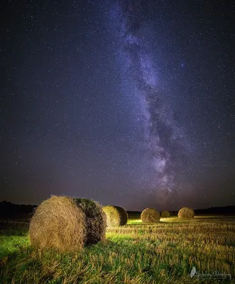 Млечный путь над скошенным полем. Photographer Golubev Dmitriy