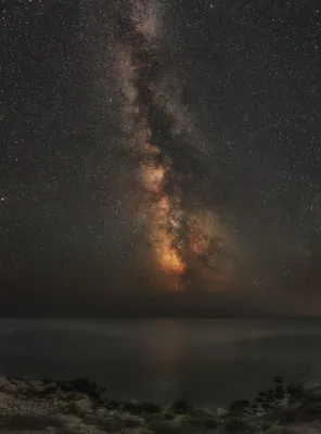 Млечный путь над елями стоковое фото. изображение насчитывающей ландшафт -  115327354