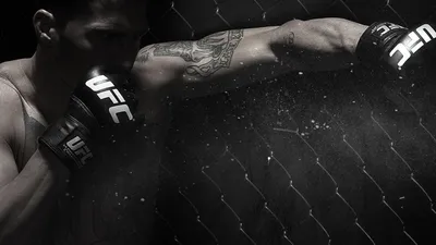 Чехол (накладка) Samsung Galaxy S10 Lite черный MMA, UFC - купить с  доставкой по выгодным ценам в интернет-магазине OZON (877487429)