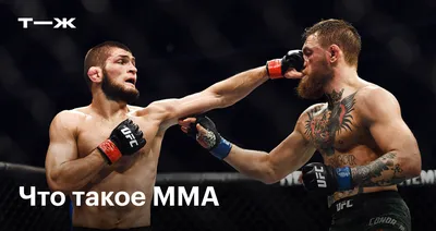 Что такое MMA и как устроены соревнования по смешанным единоборствам