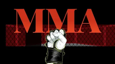 What is UFC, what is MMA and what are the rules?