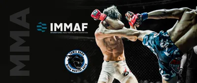 MMA Logos | MMA Global
