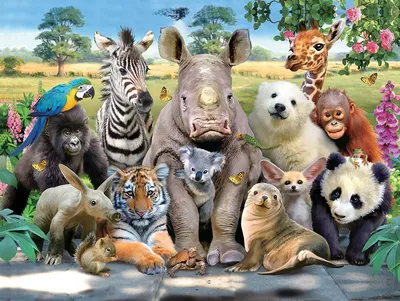 Много животных на одной картинке