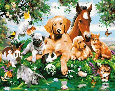 Все породы собак на одной картинке (65 фото) - картинки sobakovod.club