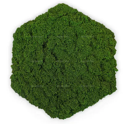🌳 Искусственный мох, шестигранные блоки, 25х25см купить » Искусственные  растения с доставкой по всей России