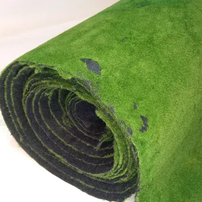 Удивительный мох сфагнум — как заготовить и использовать? Фото — Ботаничка