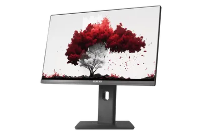Купить монитор 24\" Dell E2414HT