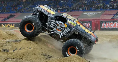 Max-D Monster Jam Truck | Monster Jam