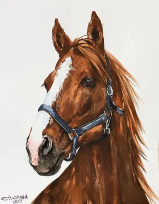 Морда лошади - картины и постеры от 999 руб| КартинуМне!