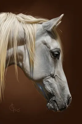 Морда лошади рисунок красками - 73 фото