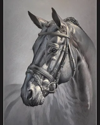 Портрет лошади. Боевики взорвали морда лошади против голубого неба с белыми  облаками. Стоковое Изображение - изображение насчитывающей табун, облака:  195150561