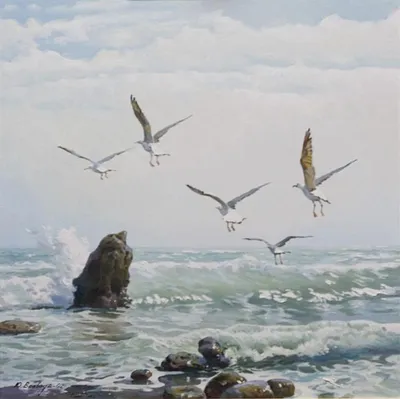 Рисунок чайки в полете над морем - 61 фото