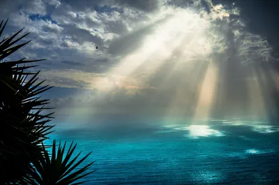 Море, стеклянное море, небо, ночное …» — создано в Шедевруме