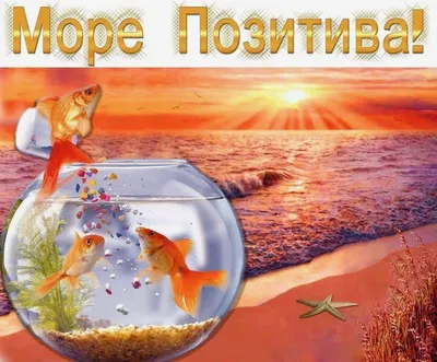 Море позитива (Брегад 2) / Проза.ру