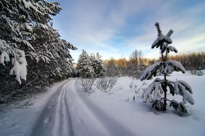 Мороз и солнце, день чудесный... - фото автора стихиЯ на сайте Сергиев.ru