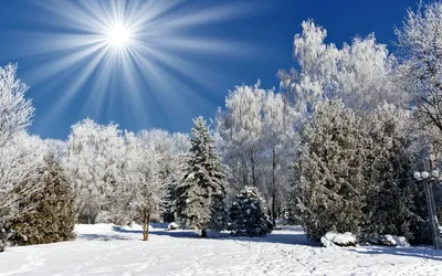 Мороз и солнце день чудесный» — создано в Шедевруме