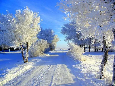 Фотография Мороз и солнце, день чудесный №392315 - «Природа родного края!»  (19.04.2023 - 19:23)