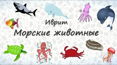 Комплект различных морских жителей изолированных на белой предпосылке с  названиями Иллюстрация вектора - иллюстрации насчитывающей английско,  коралл: 124949410