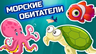 Часть 4. Раковины моллюсков - Севастопольский аквариум