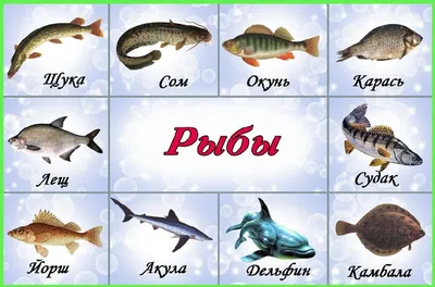 Рыбы обитающие в море - 65 фото