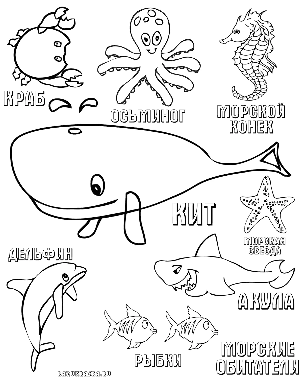 Морские Обитатели Картинки Для Детей С Названиями