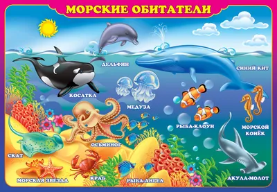 Морские животные картинки для детей