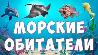 морские животные названия: 2 тыс изображений найдено в Яндекс Картинках