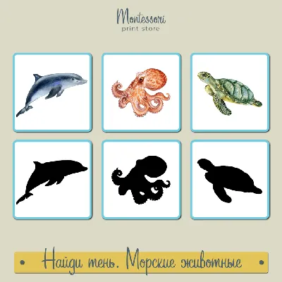 Ми-ми Мемо Морские животные (5 в 1) купить с доставкой, цены - Igromaster.by