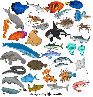 Экшн-фигурка Oenux «Морские обитатели», краб, морские животные | AliExpress