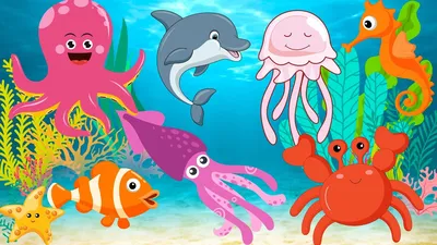 Морские животные картинки для детей | Морской конёк, Для детей, Картинки