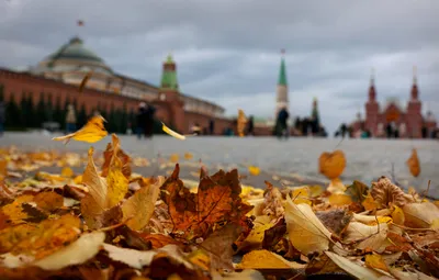 Незабываемая Москва! экскурсия по столице 🗺️— достопримечательности города  на автобусной экскурсии для большой компании и прогулки по центру столицы в  2024 году 🧭. Гибкое расписание и недорогая стоимость билета - 900 руб. с  человека 💰