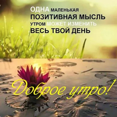 Pin by Татьяна on доброе утро!!! | Good morning, Words of wisdom, Thoughts