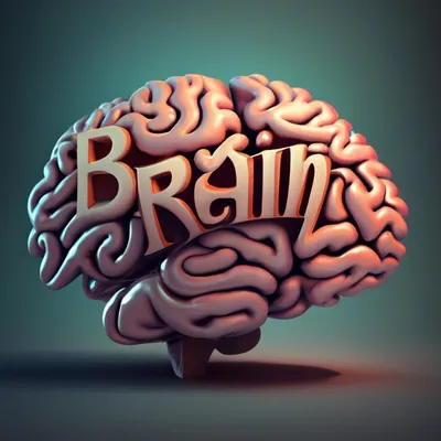Нарисованная Вручную Иллюстрация Вектора Мозга И Надписи Brain Storm —  стоковая векторная графика и другие изображения на тему Афиша - iStock