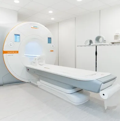 Магнитно-резонансная томография для собак и кошек в СПб: ветеринарное МРТ  головного мозга, позвоночника в Санкт Петербурге