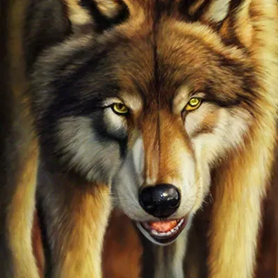 FIX CANVAS Картина Волк, цитата мотивация (1) 40х60 см