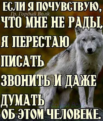 Мудрость Волка в статусах и мыслях | Facebook