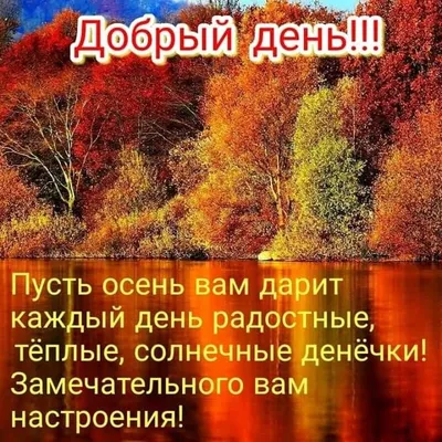 Мудрая бабулечка | Facebook