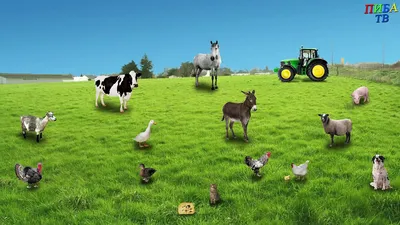 5 мультфильмов, у героев которых есть домашние животные - Телеканал «О!»