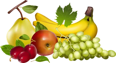 Овощ u852cu679c Мультяшная тыква, Мультяшные фрукты и овощи,  Мультипликационный персонаж, натуральные продукты, еда png | PNGWing