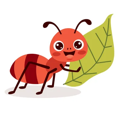 муравей PNG , муравей PNG , насекомое, фотография PNG картинки и пнг PSD  рисунок для бесплатной загрузки
