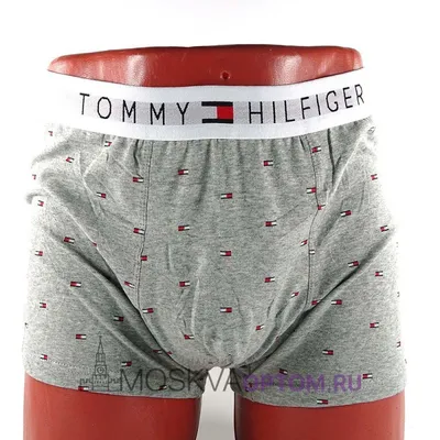 Мужское нижнее белье Tommy Hilfiger Серое (в ассортименте) ➤ Купить Оптом в  Москве ○ MoskvaOptom.ru